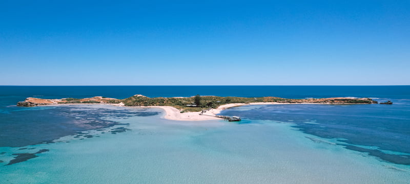 Visit Penguin Island