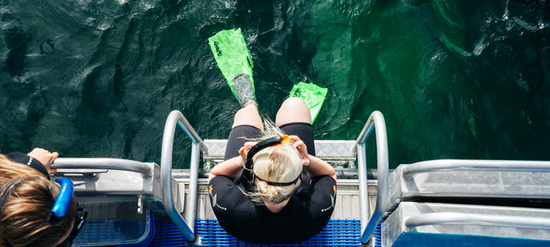 Snorkel at Shoalwater Islands Marine Park