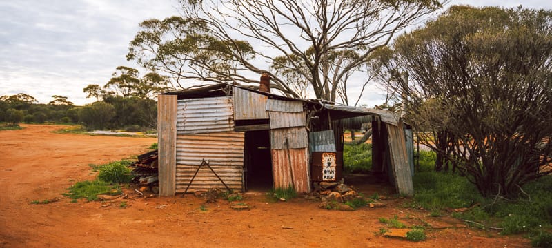 The historic shack at Canna Hall Camping Area, surrounded by wildflowers.