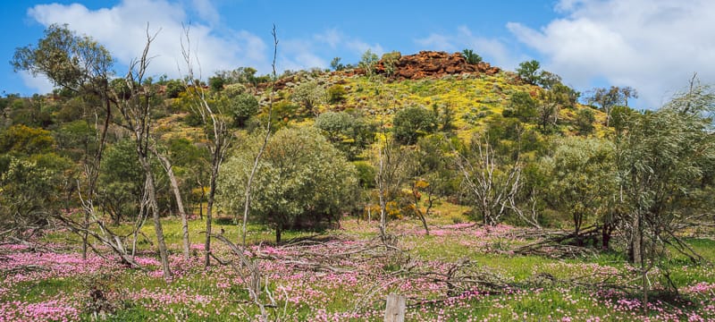 Depot Hill