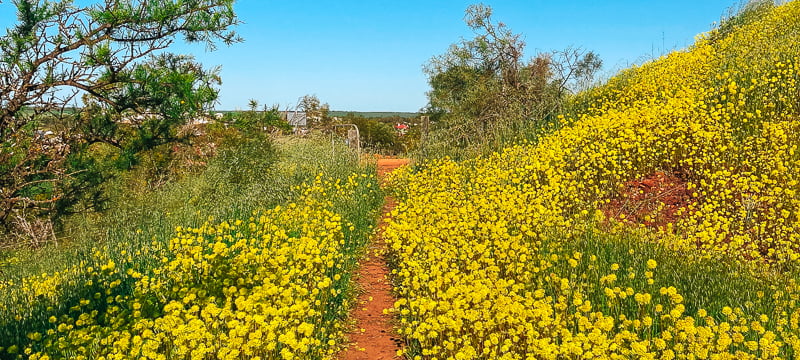 Mingenew Hill