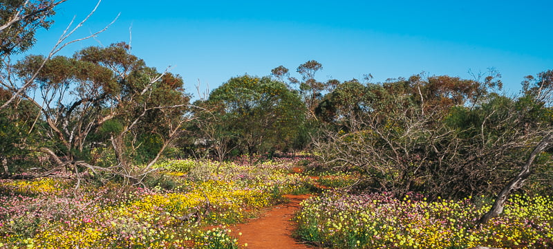 Coalseam Conservation Park