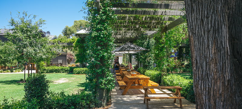 Dining under the vines at Bailey Brewing Co