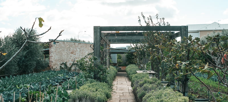 The garden at Coogee Common