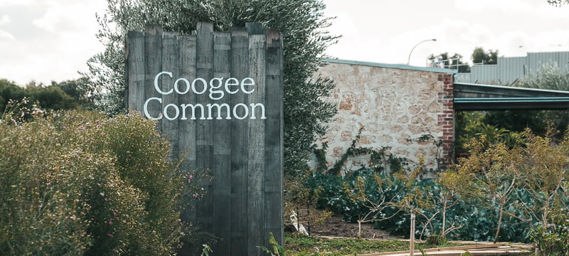 The garden at Coogee Common