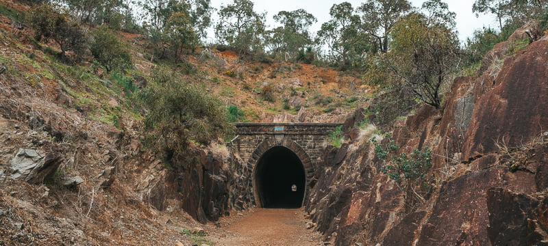 The Swan View Tunnel in John Forrest National Park