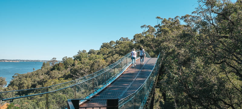 Lotterywest Federation Walkway in Kings Park