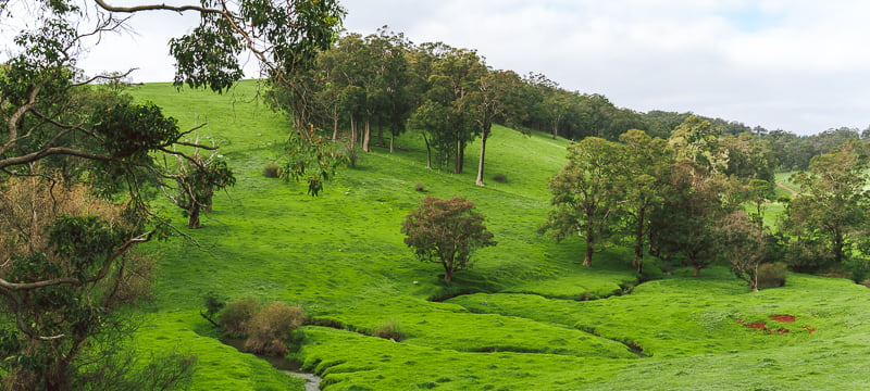 The rolling green hills of the Ferguson Valley.