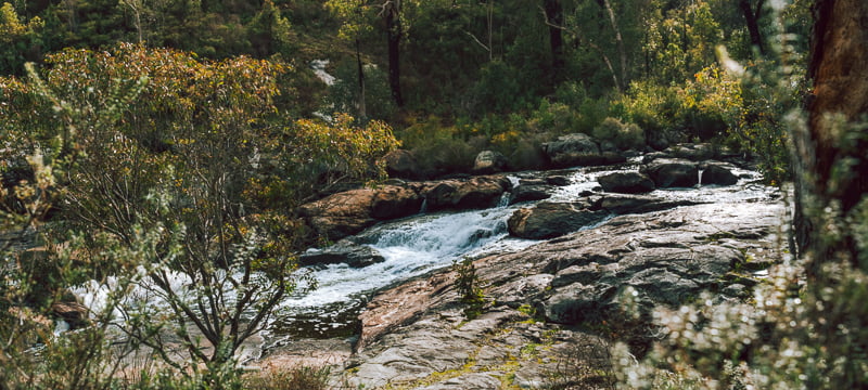 Wellington National Park at the Rapids with flowing water in winter