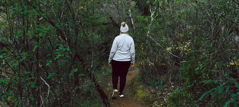 The forests and waterways of Wellington National Park.
