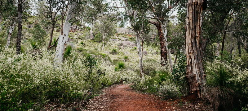 John Forrest National Park