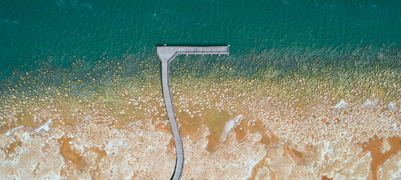 Lake Clifton Thrombolites