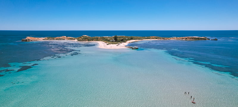 Penguin Island + Shoalwater Islands Marine Park