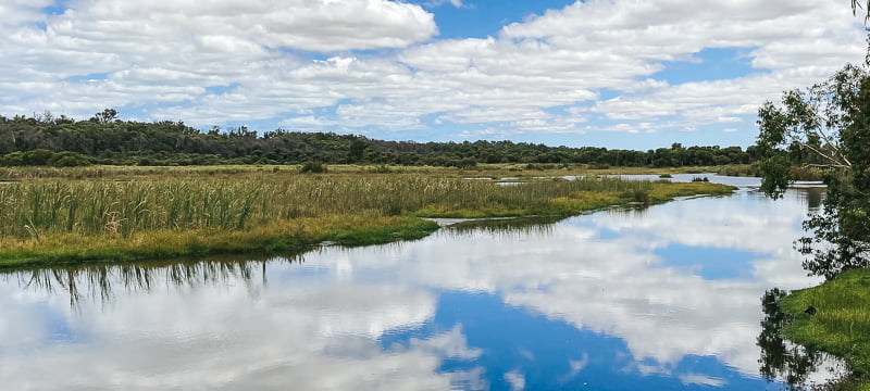 Day trip from Perth to Yanchep National Park