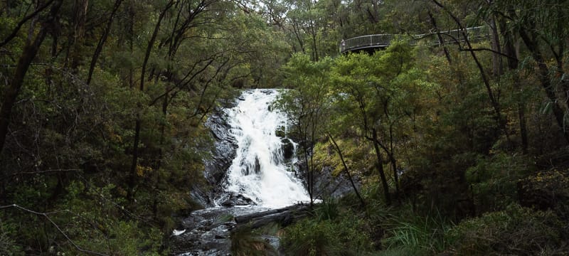 Beedelup Falls in the Southern Forests region.