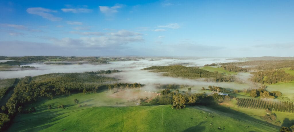 The rolling green hills of the Ferguson Valley.