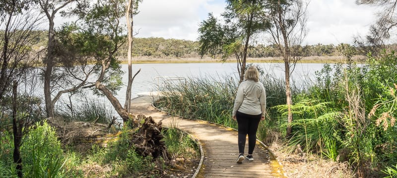 The Leaning Marri Campground at Lake Yeagarup.