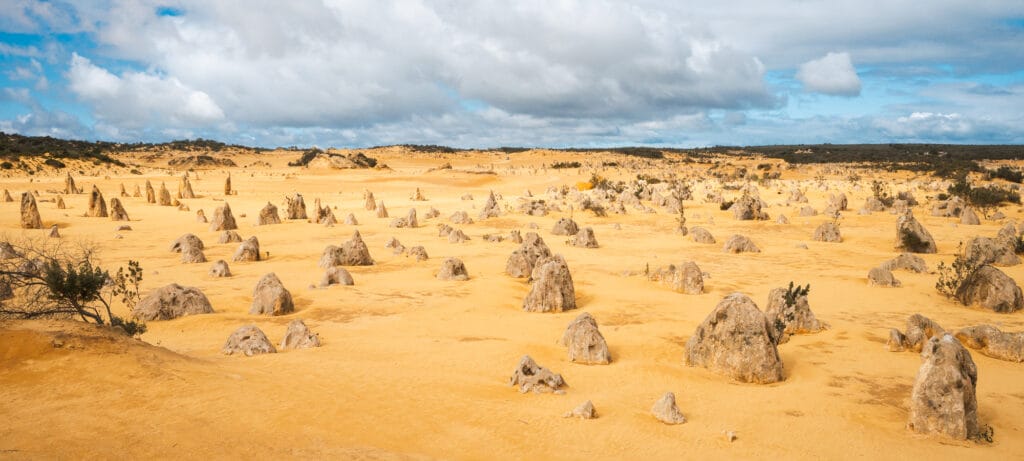 The Pinnacles in Nambung National Park near Cervantes.