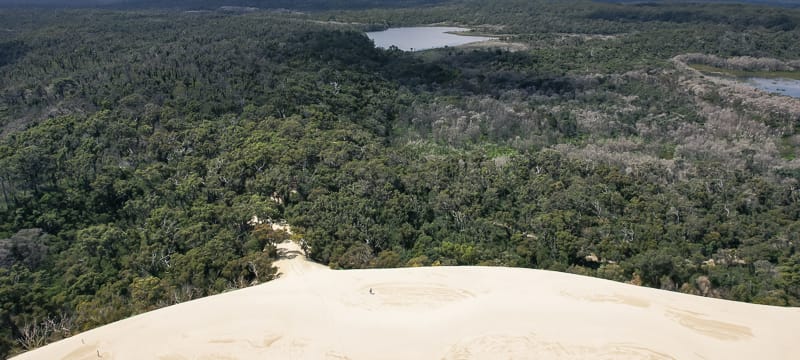 The Yeagarup Dunes, the largest land-locked dune system in the southern hemisphere.