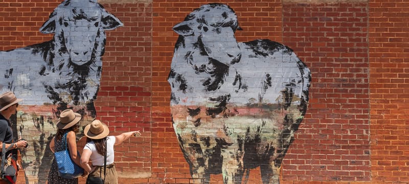 Street murals on Vincent Street in Beverley.