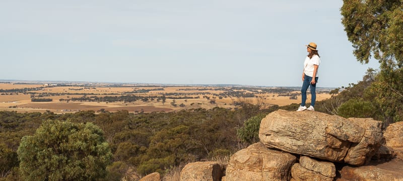 Views from Mount Brown Lookout (Wongberl) in York.
