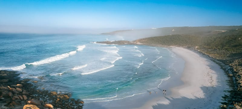 Native Dog Beach