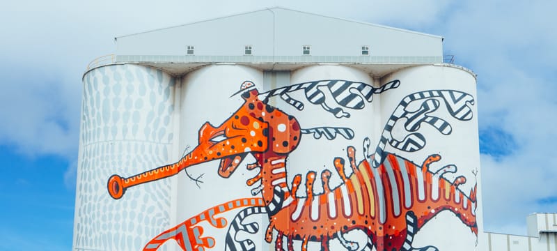The cheeky ruby sea dragon splashed across the Albany Grain Terminal part of WA's Public Silo Trail