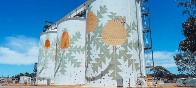 The colourful silos at Ravensthorpe - part of WA's Public Silo Trail