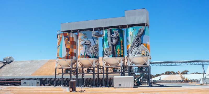Colourful mural depicting native Australian animals in Newdegate, part of WA's Public Silo Trail