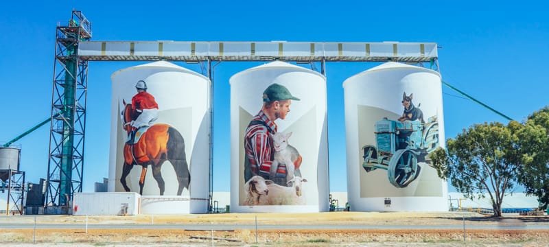 Murals of community farming life in Pingrup along WA's Public Silo Trail