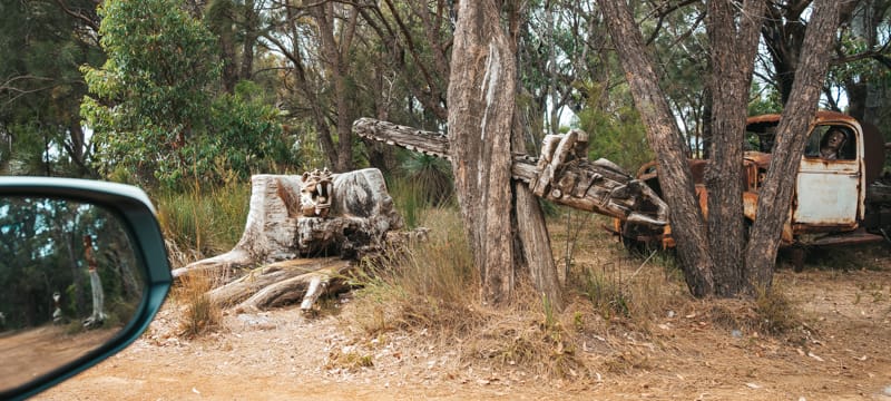 carving of a timber chainsaw in a tree along the Chainsaw Sculpture Drive in Albany, Western Australia
