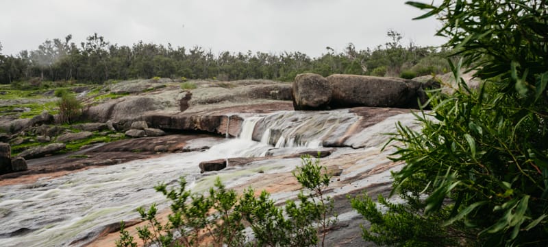 Hovea Falls