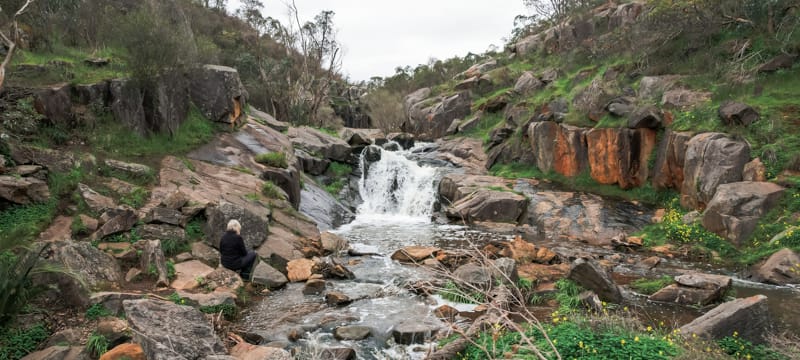 Nyaania Creek