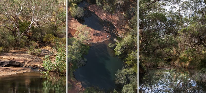 Roley Pool Reserve