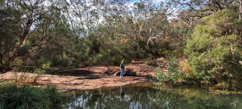 Roley Pools Walk Trail
