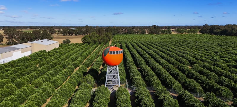 Discover the Harvey Region just 90 minutes from Perth. Explore beaches, wineries, scenic trails and local food in this perfect day trip or weekend getaway.